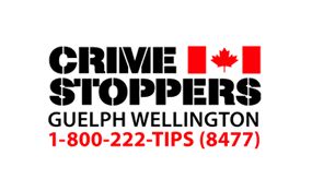 logo for: Guelph Wellington